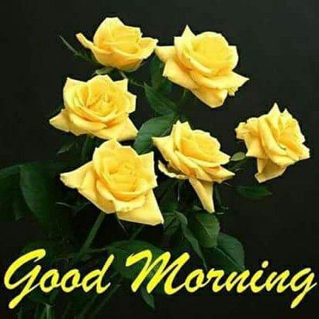 Sweekar Restaurant & Fast Food Corner